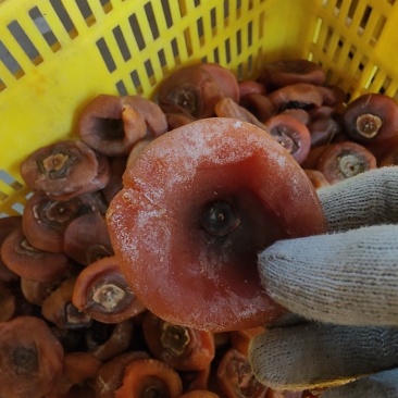 广西桂林平乐县特产柿饼，外表难看但我內心很甜很甜