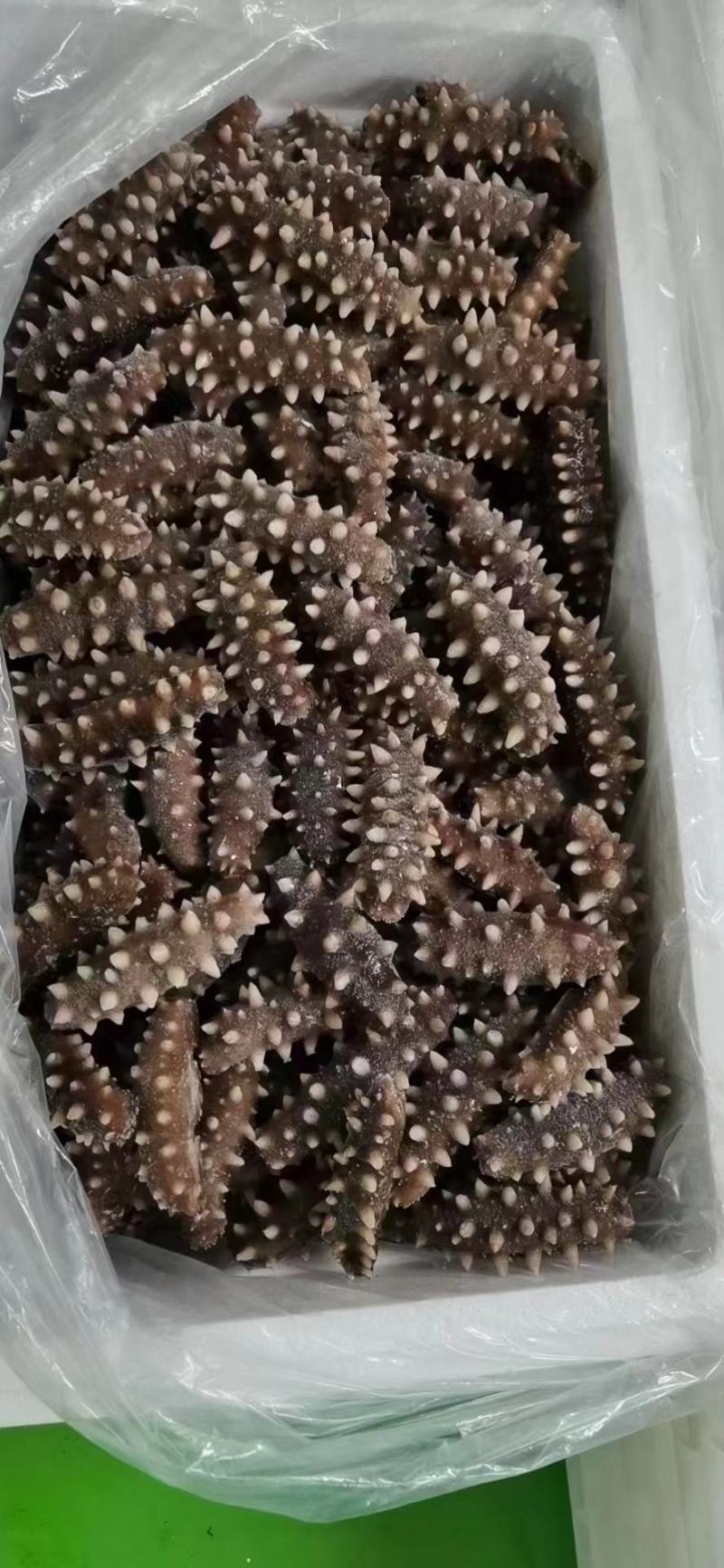 大连海参，营养丰富，参年龄长，营养价值高，保证质量，