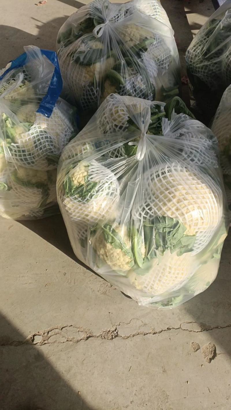有机花大量供应商超和超市等各大平台销售，价格不高，质量够
