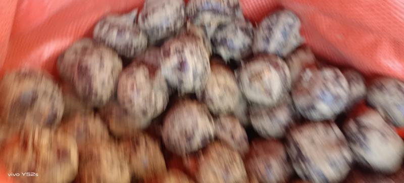 广西桂林马蹄土特产，，，，，，，，，，，20个一斤1块5