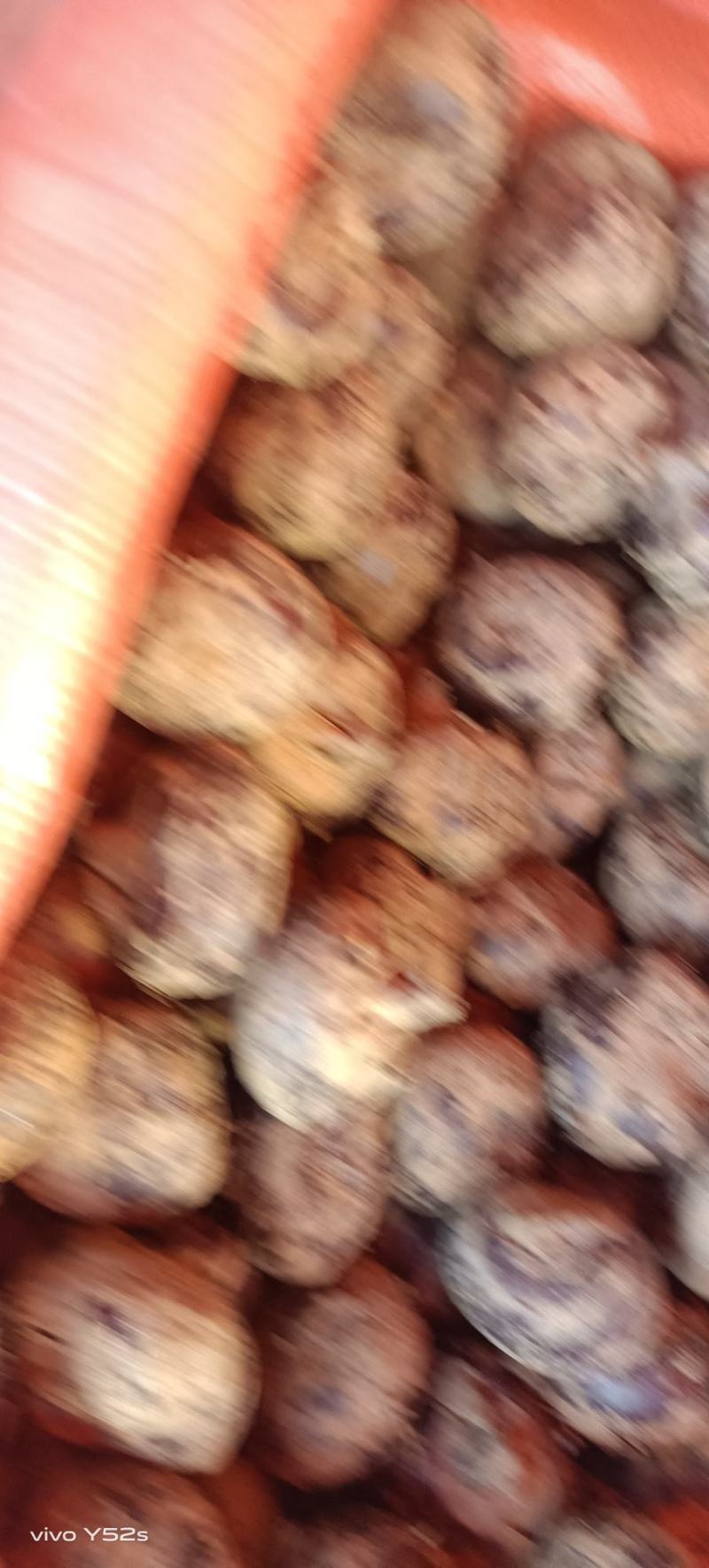 广西桂林马蹄土特产，，，，，，，，，，，20个一斤1块5