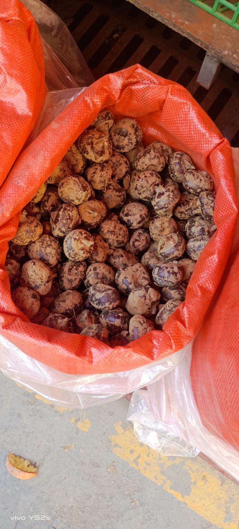 广西桂林马蹄土特产，，，，，，，，，，，20个一斤1块5
