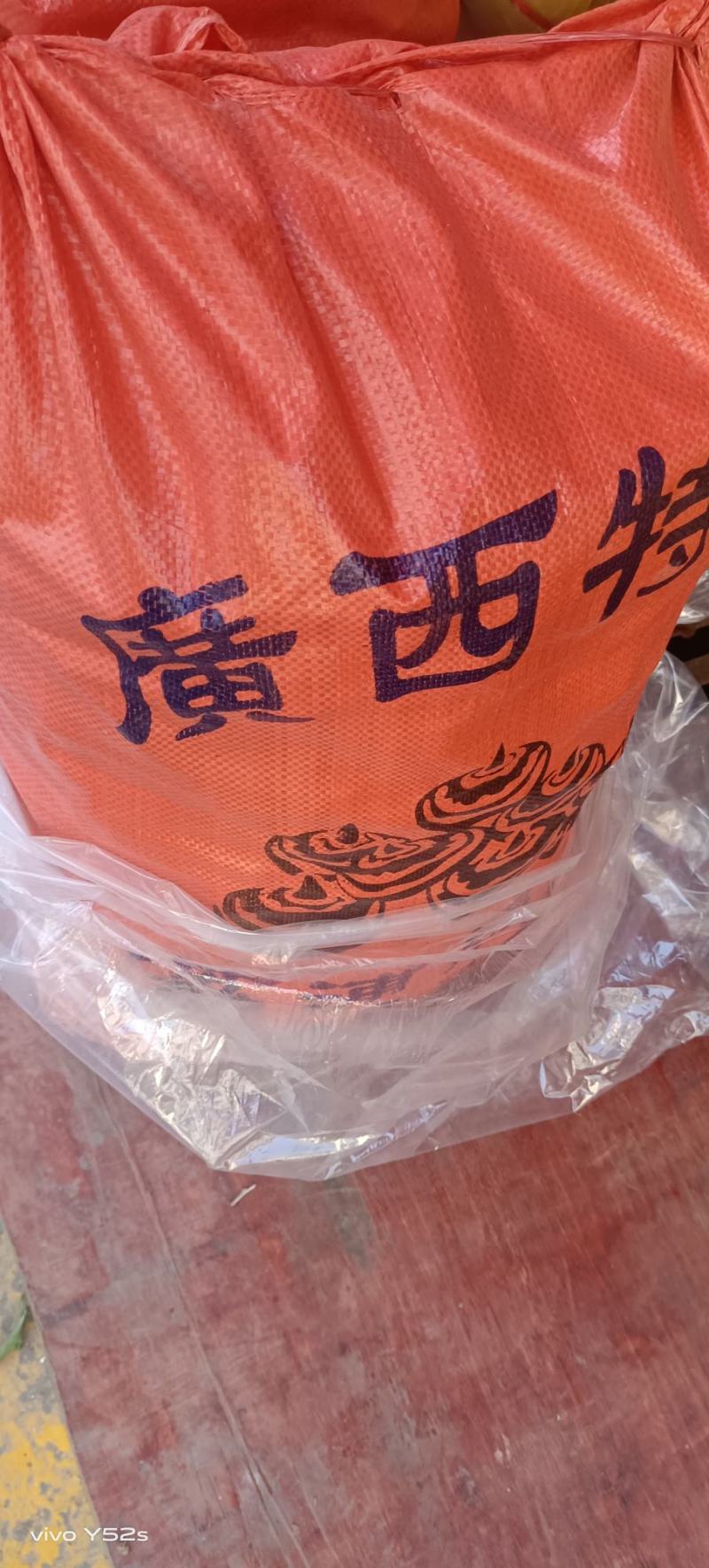 广西桂林马蹄土特产，，，，，，，，，，，20个一斤1块5
