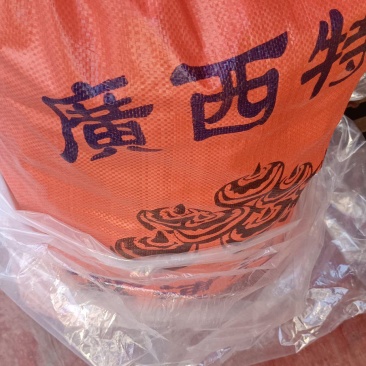 广西桂林马蹄土特产，，，，，，，，，，，20个一斤1块5