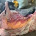 高原高海帕吃草放养牦牛《鲜肉，牛肉干》等，牦牛肉的全身肉