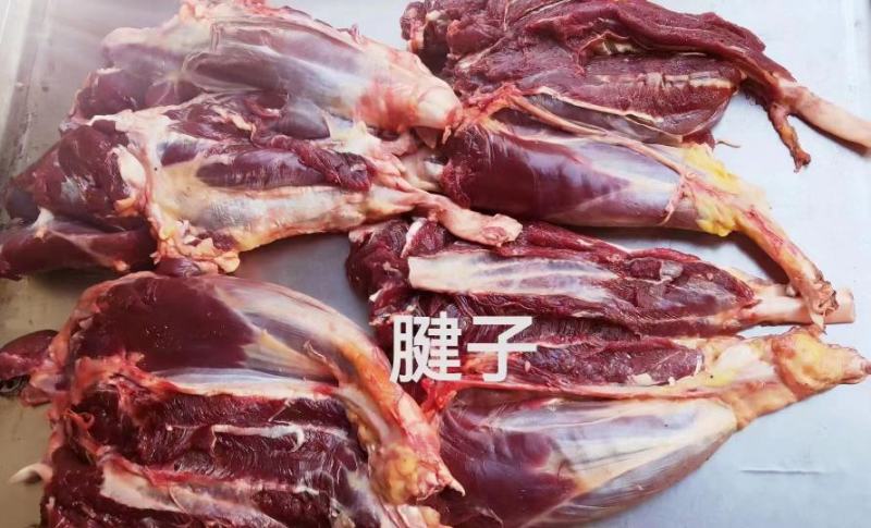 高原高海帕吃草放养牦牛《鲜肉，牛肉干》等，牦牛肉的全身肉