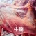 高原高海帕吃草放养牦牛《鲜肉，牛肉干》等，牦牛肉的全身肉