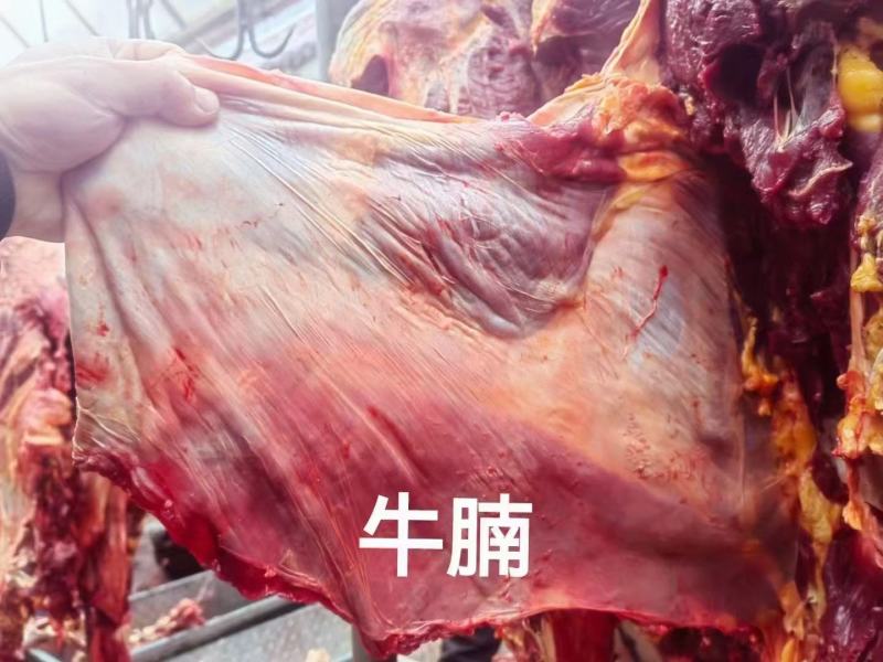 高原高海帕吃草放养牦牛《鲜肉，牛肉干》等，牦牛肉的全身肉