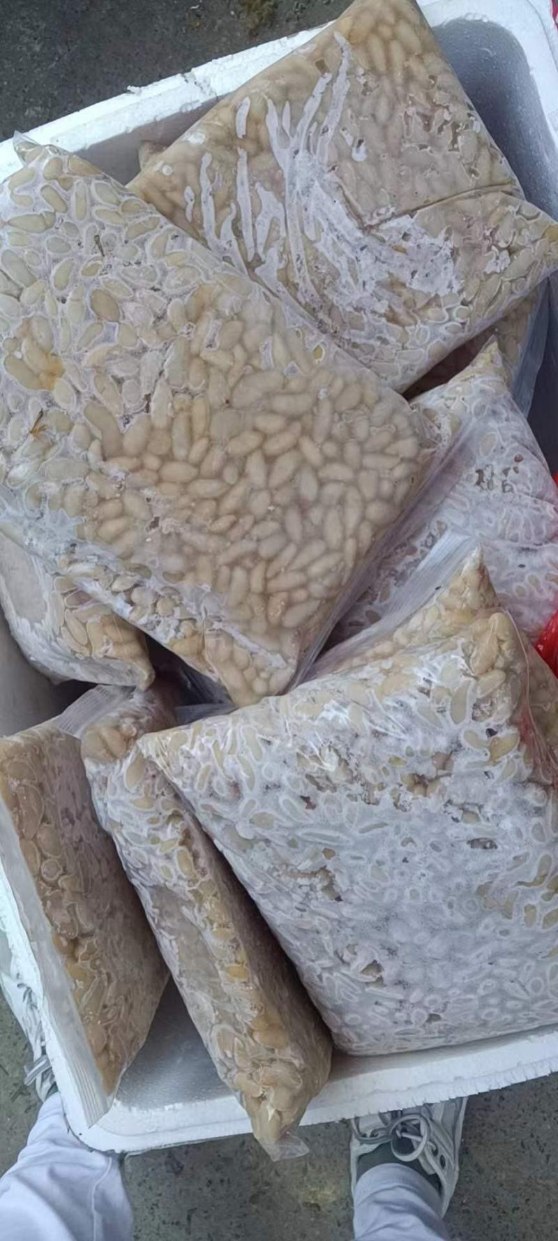鸡腰子