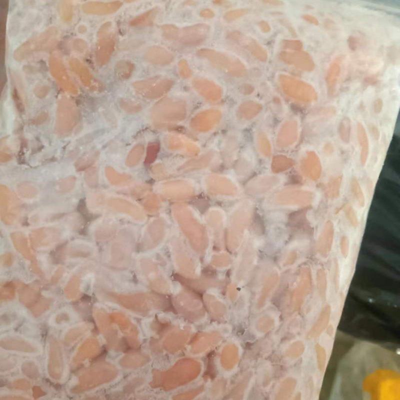 鸡腰子