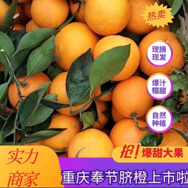 奉节脐橙产地直发二级果大量有货，质量好，价格便宜