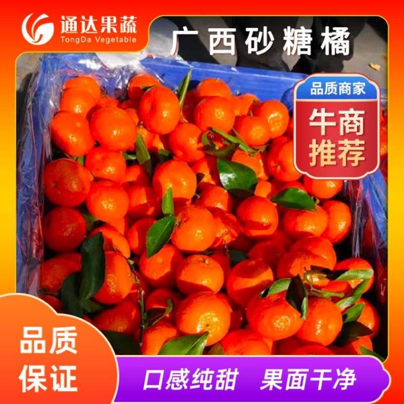 广西荔浦砂糖橘大量上市，皮毛干净，入口化渣可安排全国发货