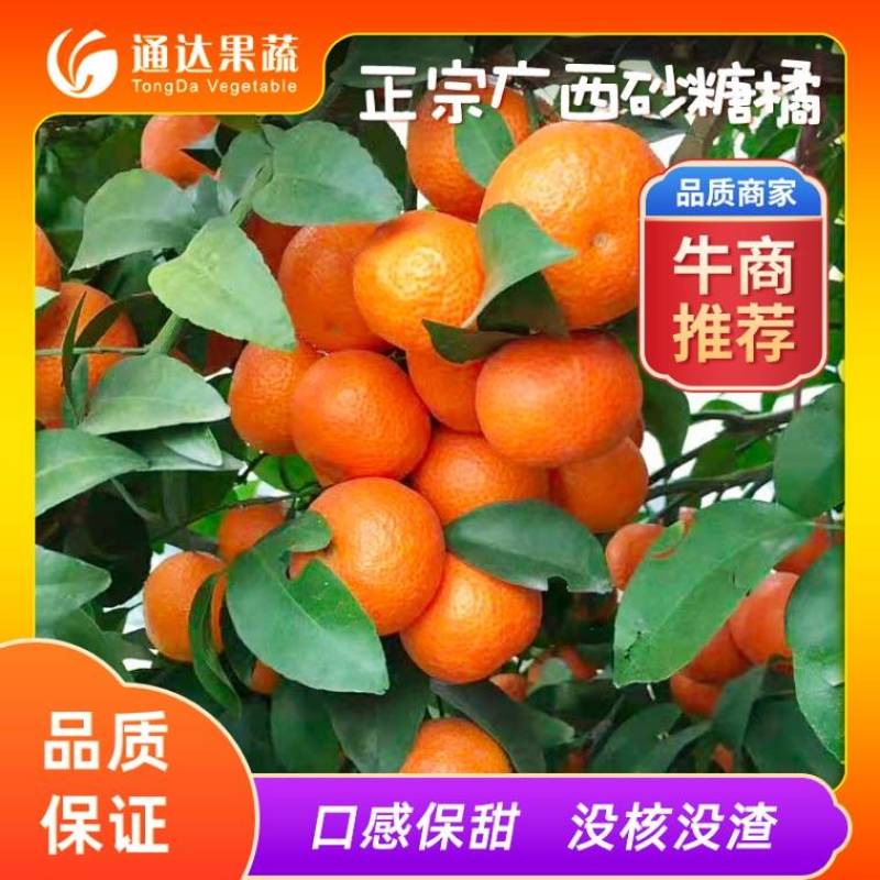 广西砂糖橘大量上市，大小框都有，口感纯甜保质保量