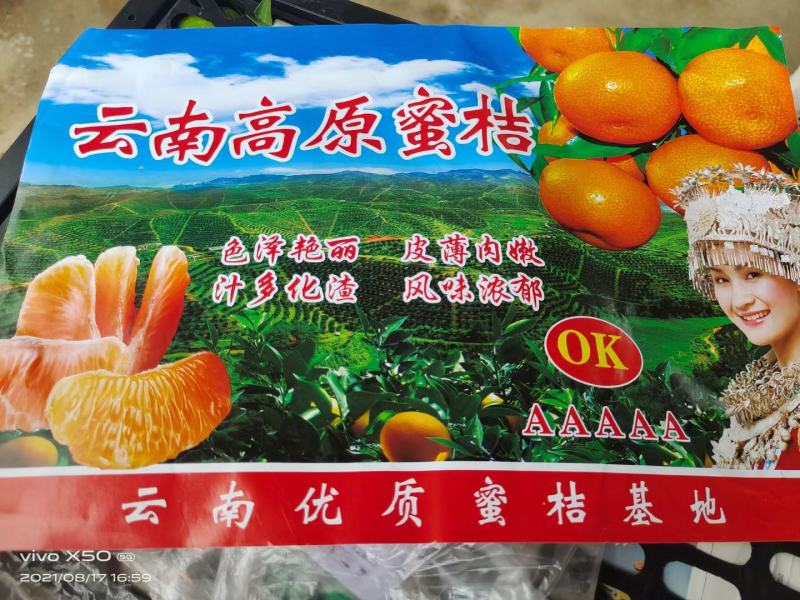 兴律普早云南高原特早密桔果皮光滑汁多味甜，9月初预订