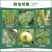 48%苯醚甲环唑嘧菌酯炭疽白粉病叶斑病农药杀菌剂