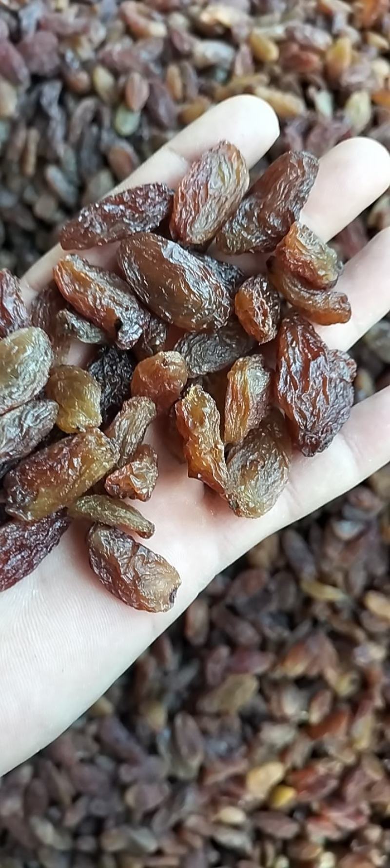 红香妃果肉厚而无籽、口感劲道、回味无穷。