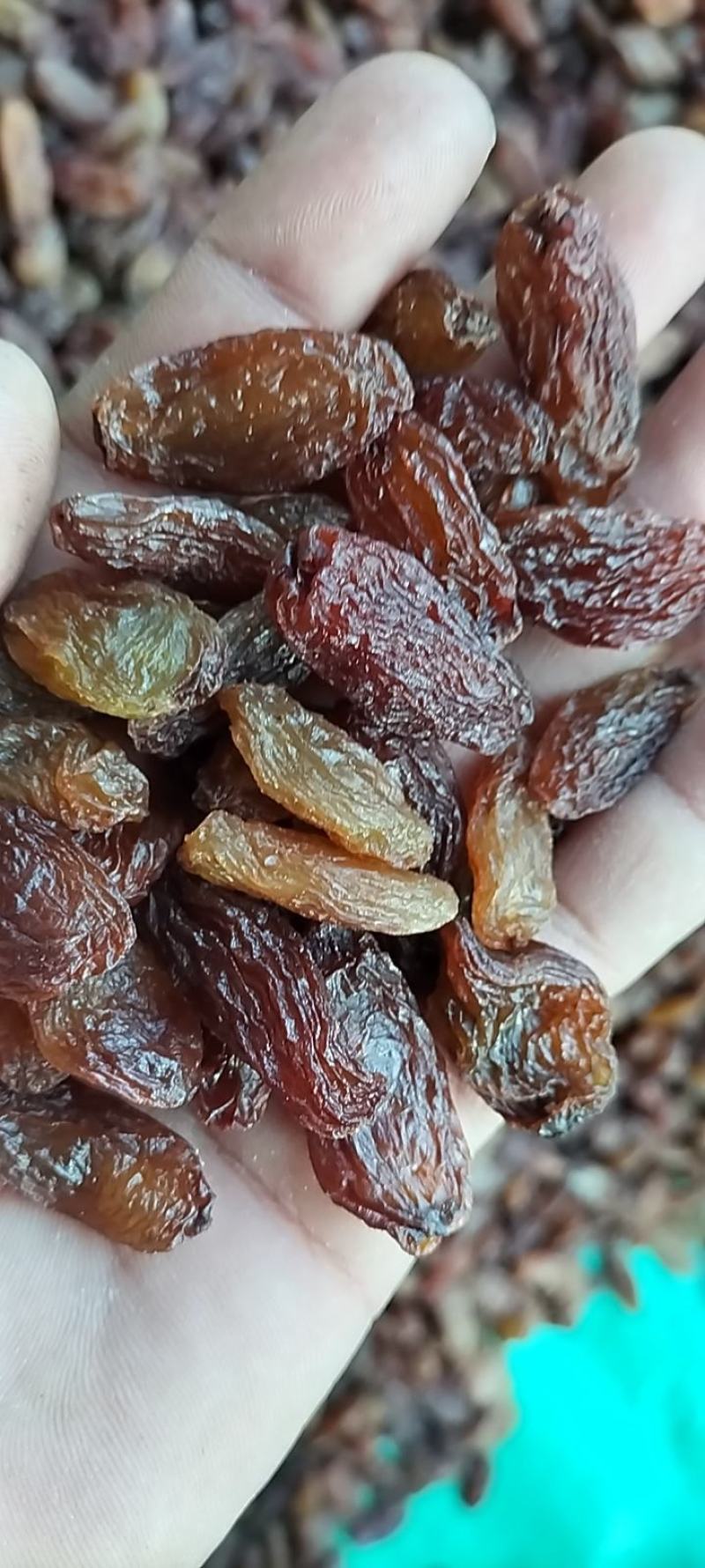 红香妃果肉厚而无籽、口感劲道、回味无穷。