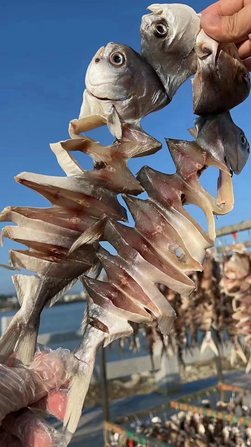 金鲳鱼干广东特产天然淡晒深海金鲳鱼干海产品干货海鲜