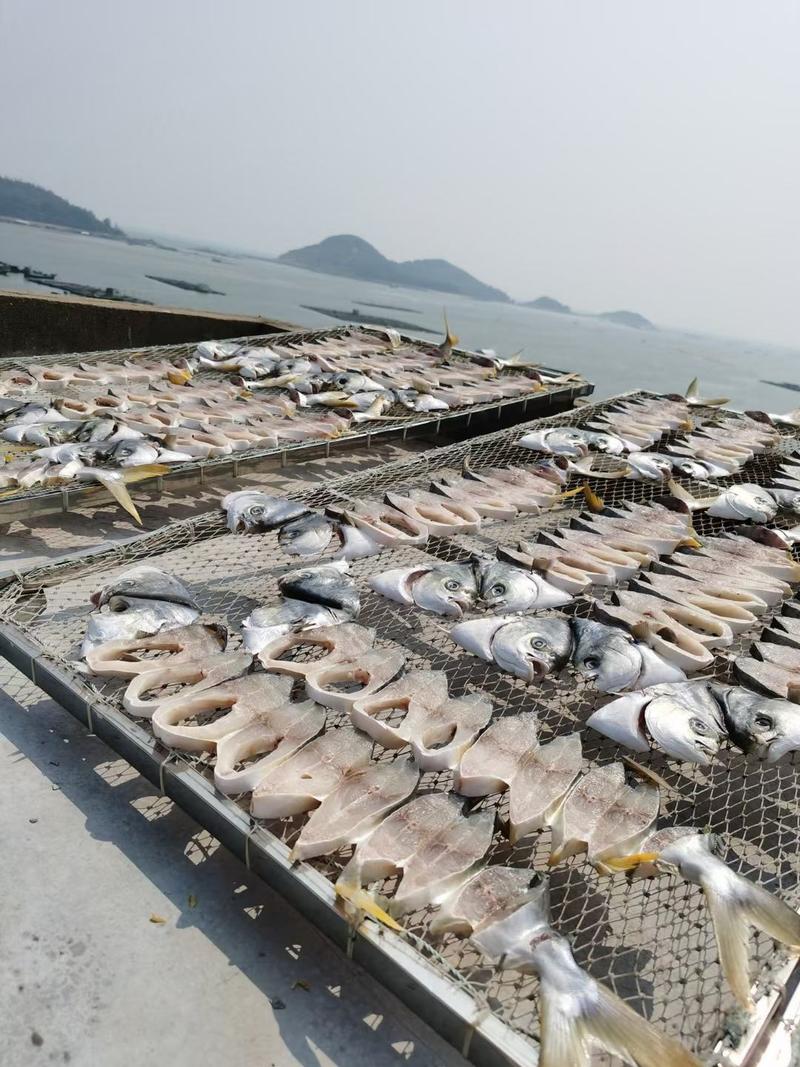 金鲳鱼干广东特产天然淡晒深海金鲳鱼干海产品干货海鲜