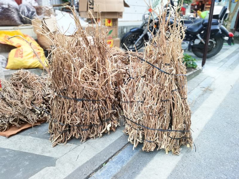 野生五指毛桃