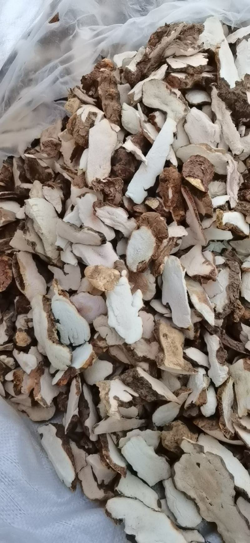 野生土茯苓