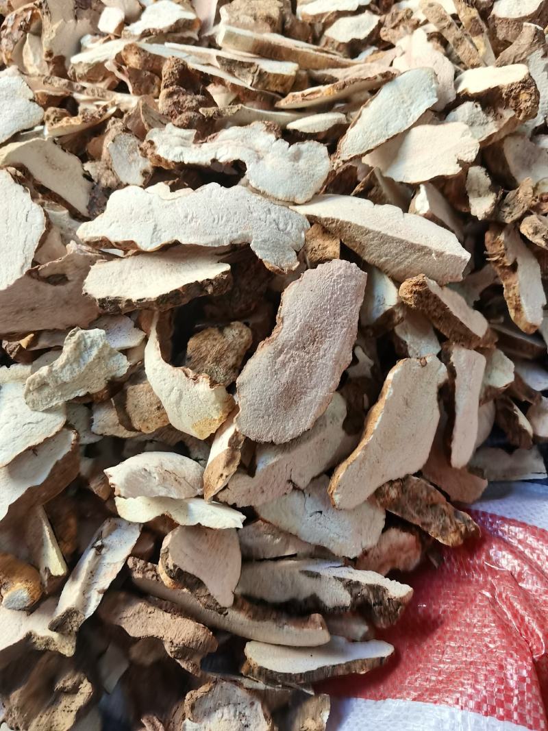 野生土茯苓