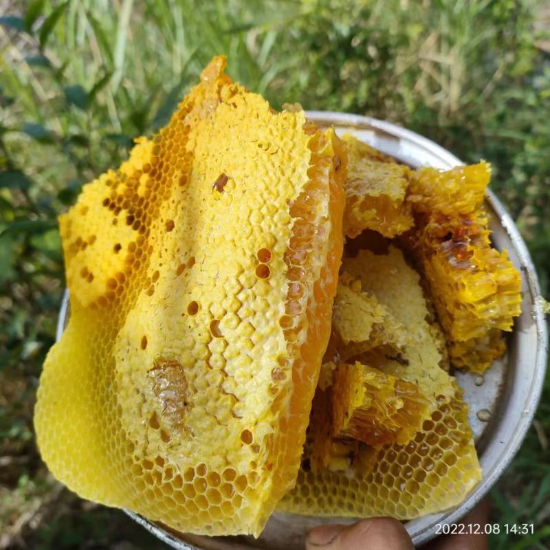 云南野生蜂蜜