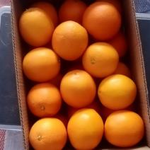 赣南脐橙，老少皆宜，优而不贵