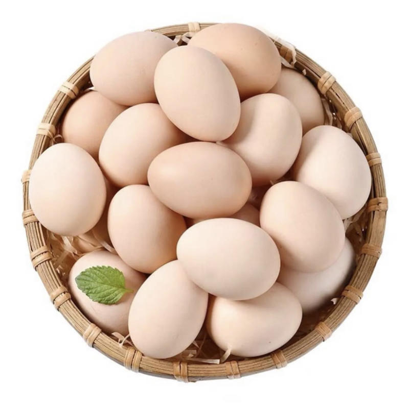 土鸡蛋，品质好，蛋清粘稠度高，对接电商，自产自销