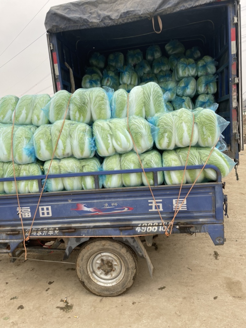 需要的朋友可以联系