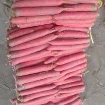 大荔县沙地红萝卜，全国发货，价格便宜，保质保量，欢迎来电