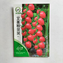 粉贝贝小番茄种子樱桃小番茄品种