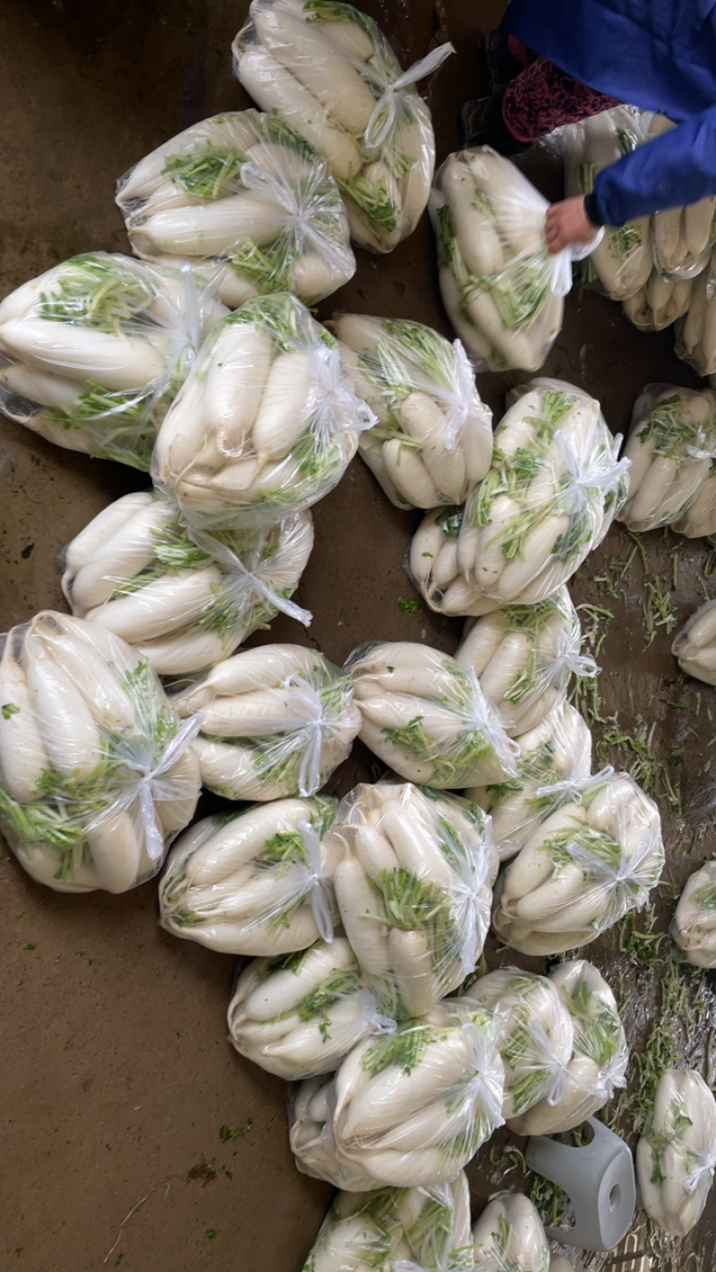 需要的朋友可以联系