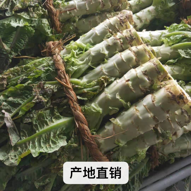 莴苣产地直发精选莴笋欢迎砸单