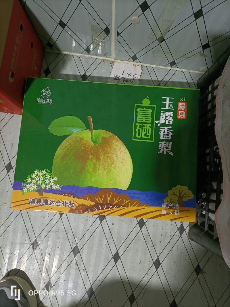玉露香梨