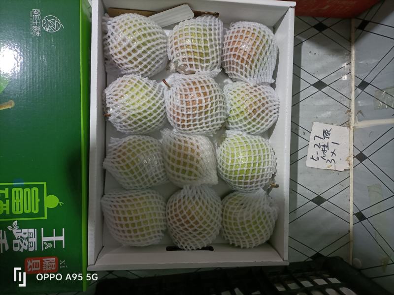 玉露香梨