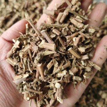 霍香广霍香大量有货量大从优手机实物拍摄欢迎选购