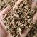 霍香广霍香大量有货量大从优手机实物拍摄欢迎选购