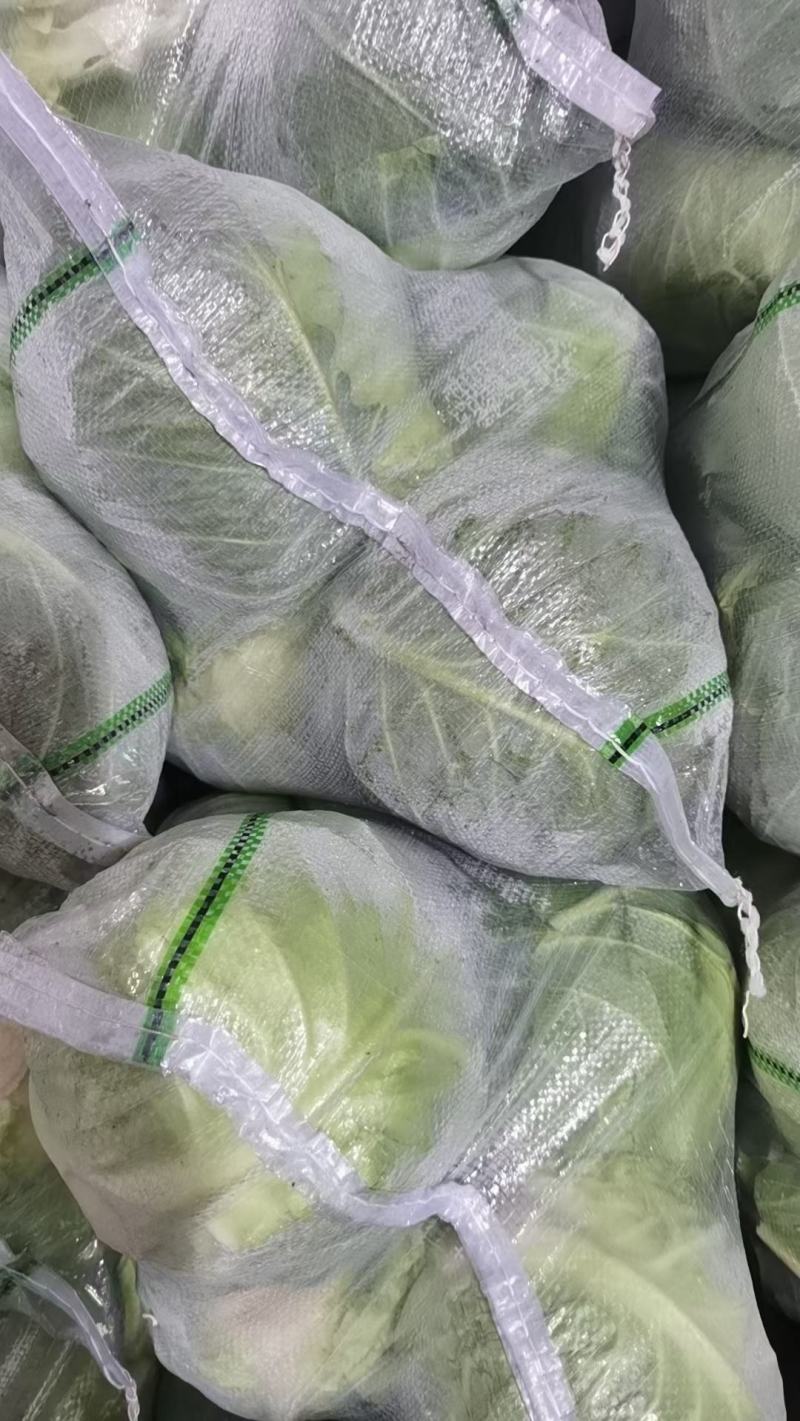 湖北包菜