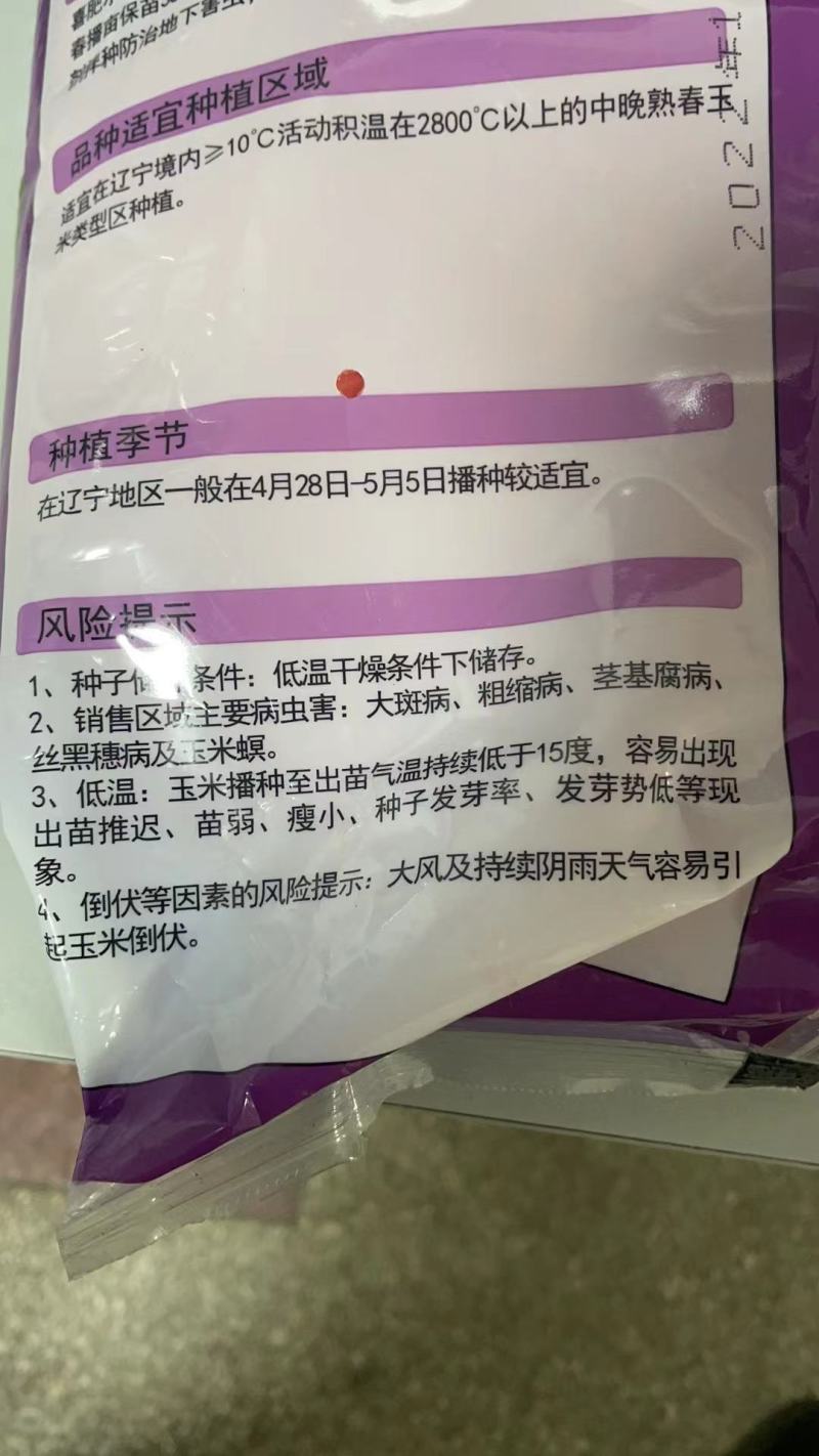 丹玉311玉米种8000粒厂家正品高产品种包邮