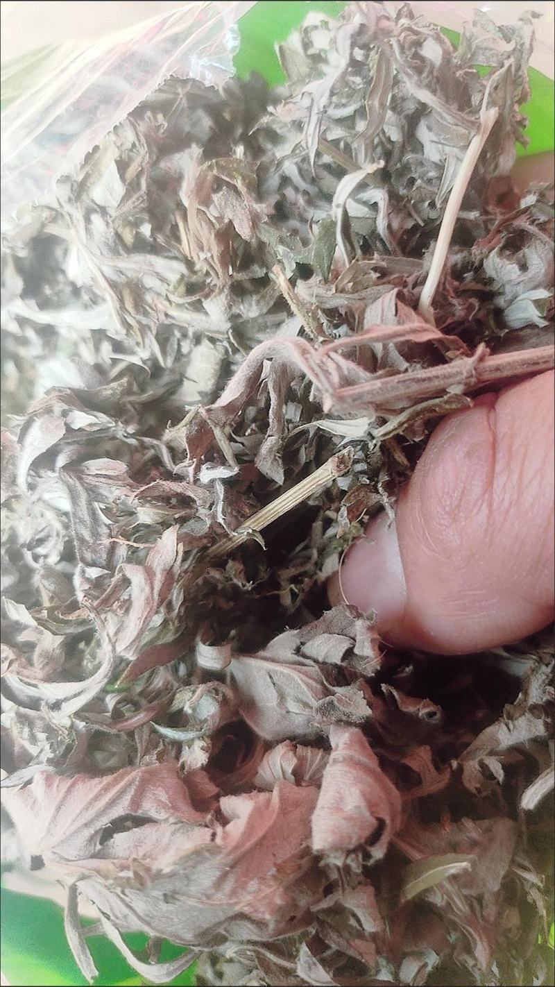 野生艾叶干艾草泡脚泡澡药包家用艾叶艾条艾绒欢迎咨询