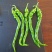 螺丝椒