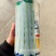 万斤白玉架豆种子早熟菜豆种子圆棍型九粒白架豆种子耐寒耐热