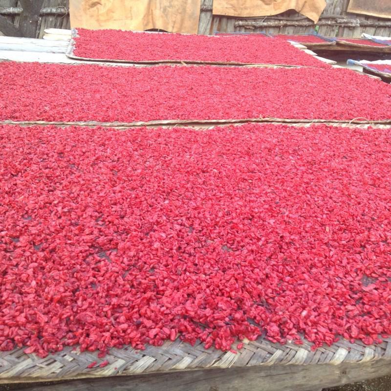 山茱萸肉正品新货精选山茱萸干大量供货