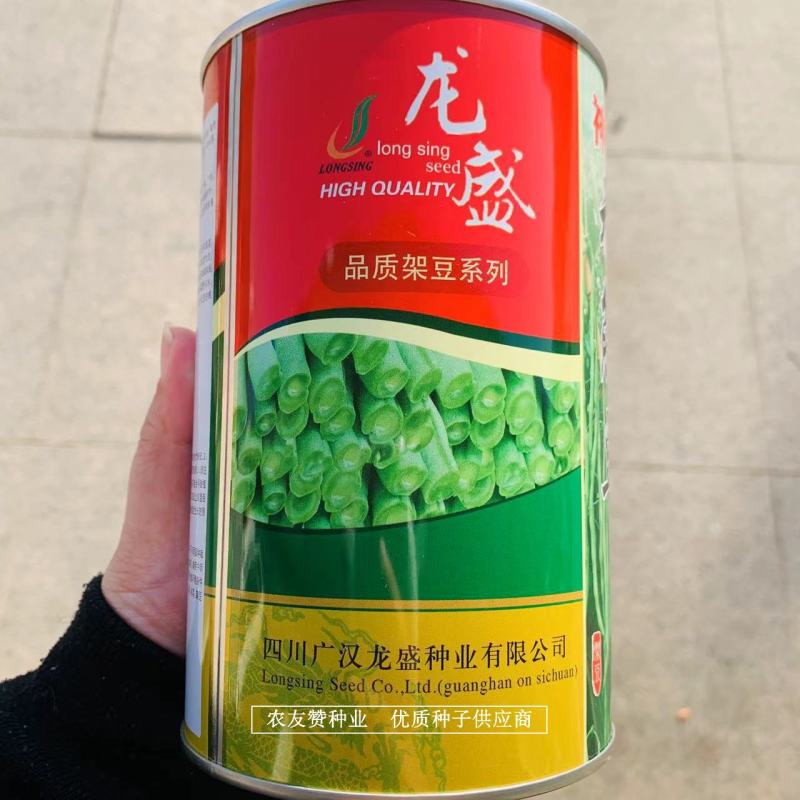 神龙无筋豆种子早熟菜豆条荚翠绿无柴无筋架豆种子高产