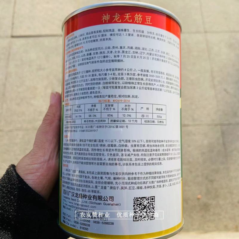 神龙无筋豆种子早熟菜豆条荚翠绿无柴无筋架豆种子高产