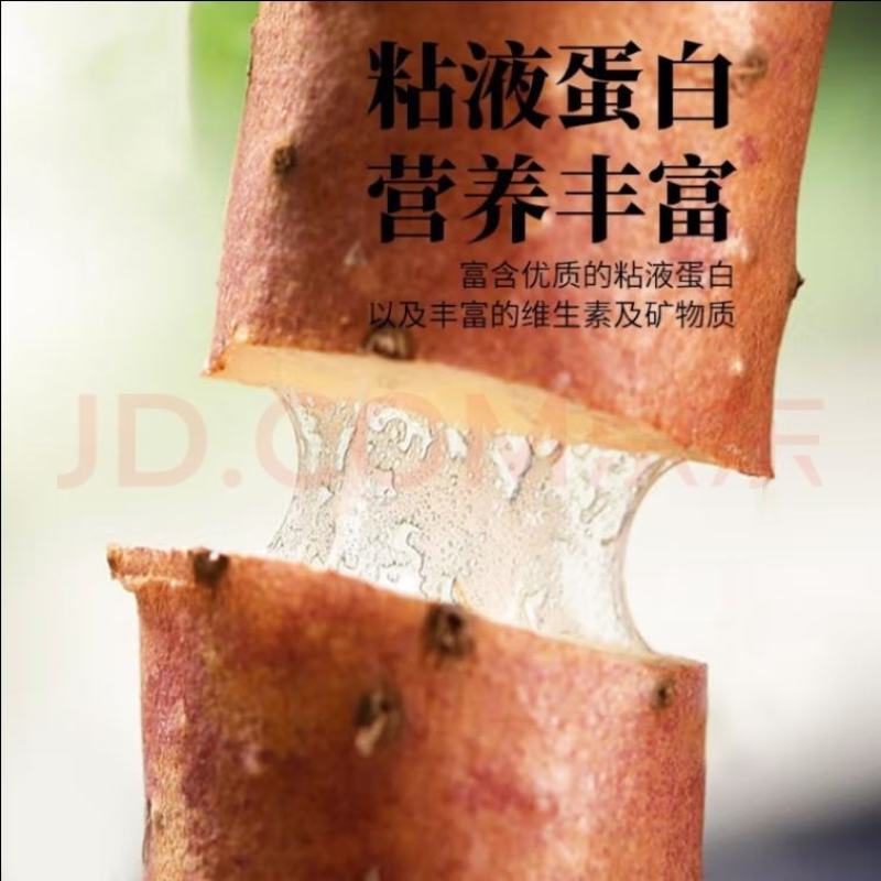 优质小白嘴山药大量上市量大价优欢迎咨询下单