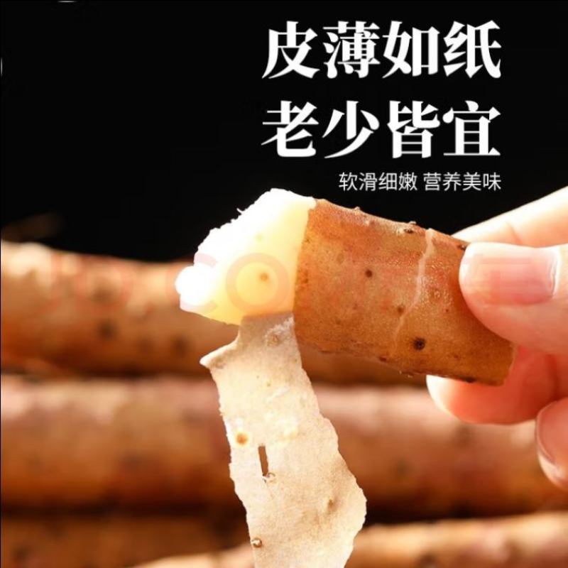 优质小白嘴山药大量上市量大价优欢迎咨询下单