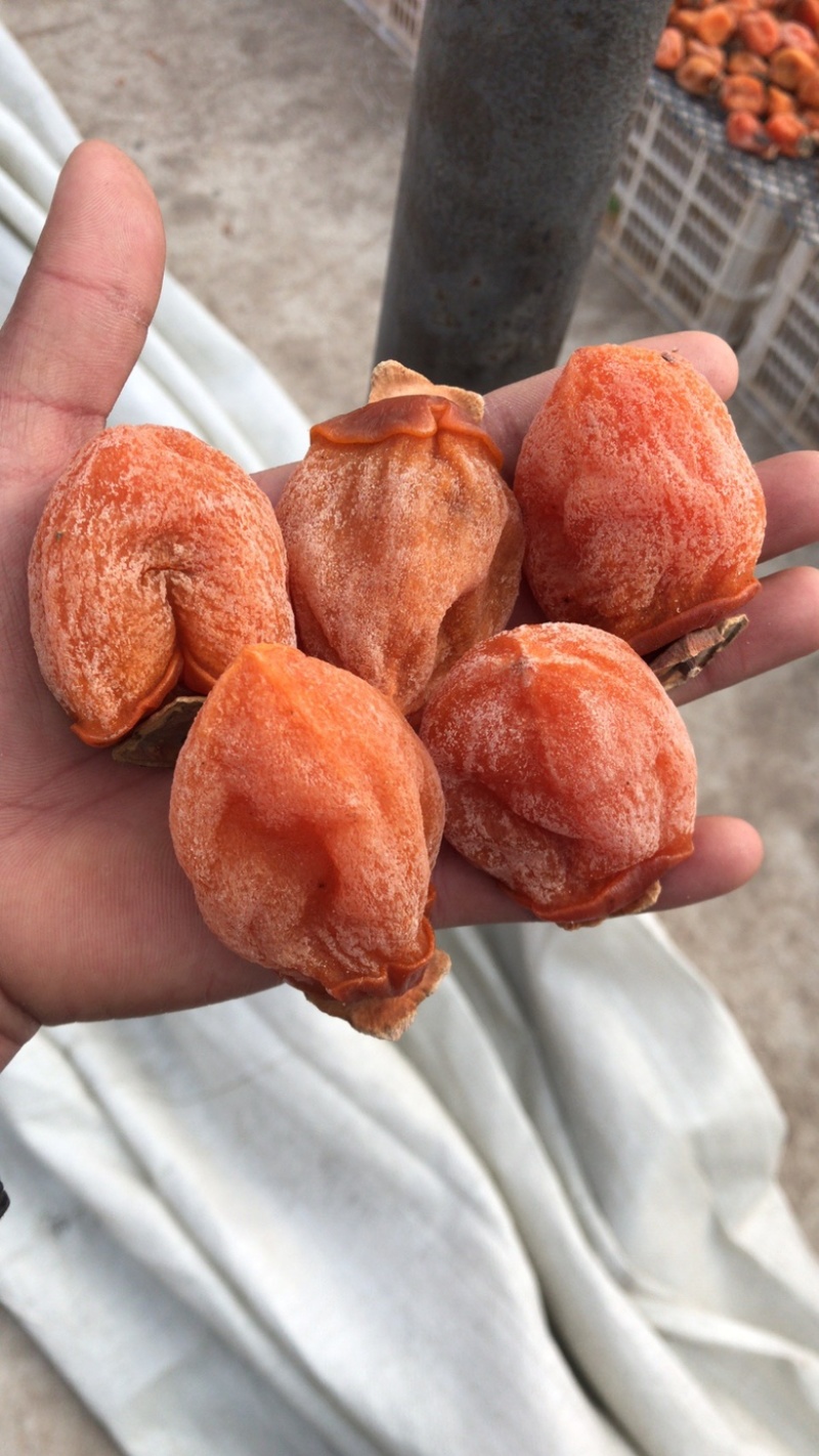 山东柿饼吊柿饼