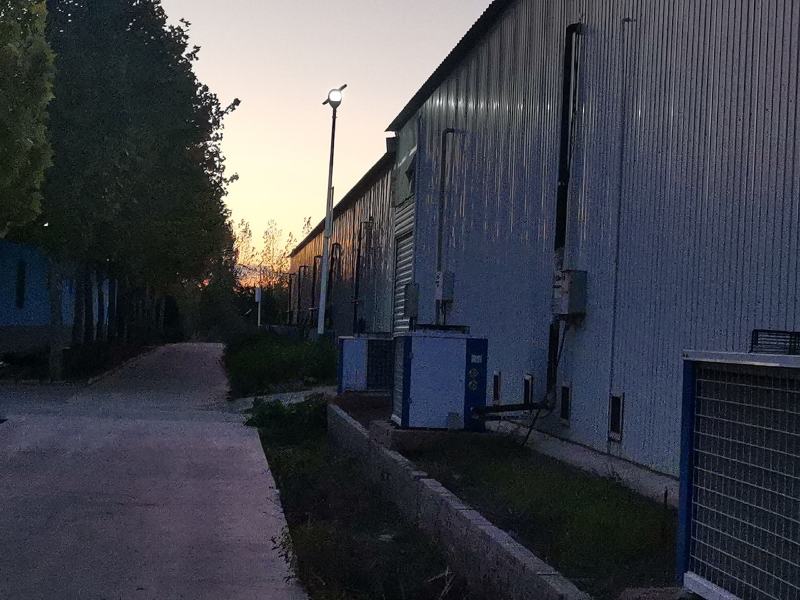 桑黄菌棒加工定制，根据客户需求配料，视频看货